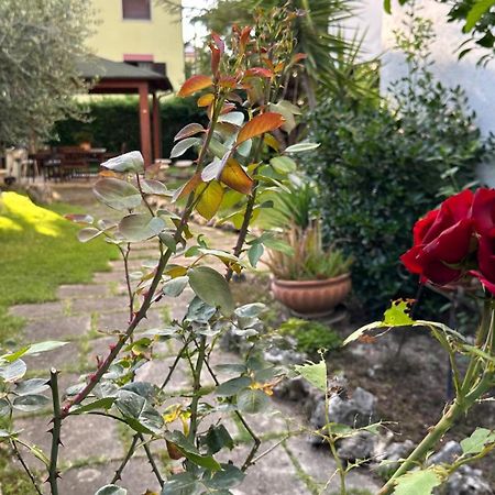 La Casa Di Gemma B&B Villa Vomano Esterno foto