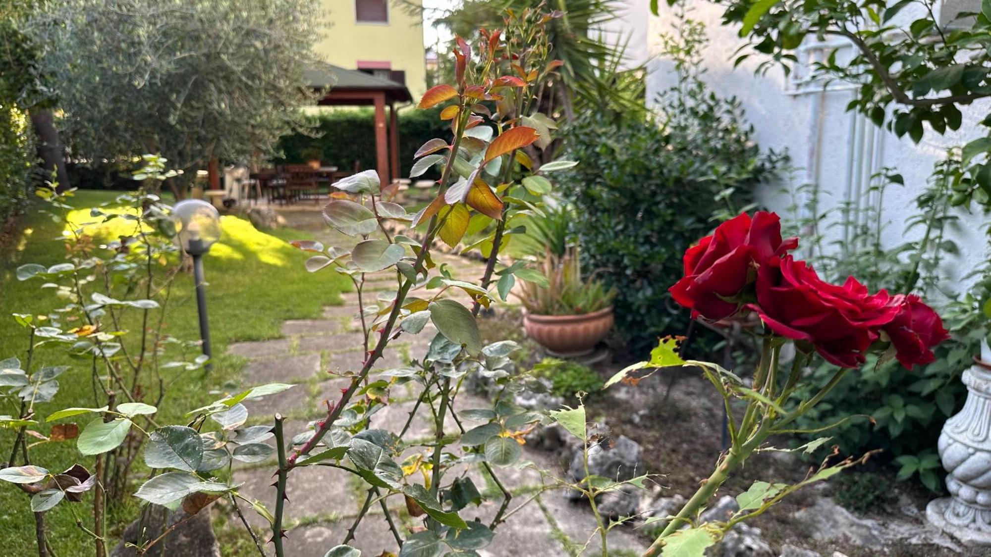 La Casa Di Gemma B&B Villa Vomano Esterno foto